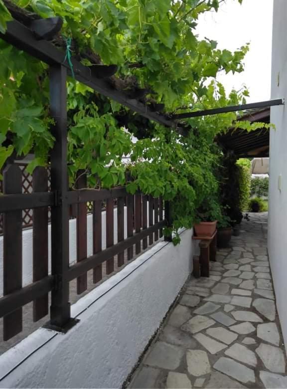 Villa Starfish Koropi Pelion Milies South Pelion Extérieur photo