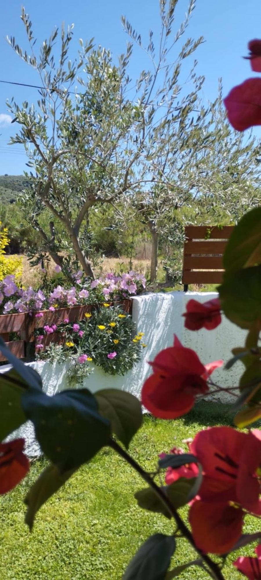 Villa Starfish Koropi Pelion Milies South Pelion Extérieur photo